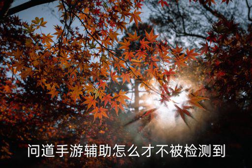 问道手游辅助怎么才不被检测到