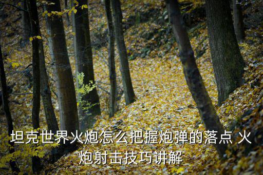 坦克世界手游怎么玩射击，坦克世界怎么精准射击
