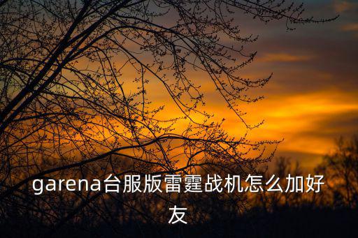 garena台服版雷霆战机怎么加好友