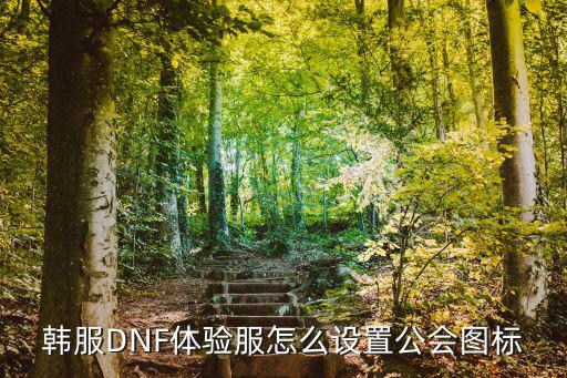 韩服手游dnf怎么加工会，dnf怎么加入公会