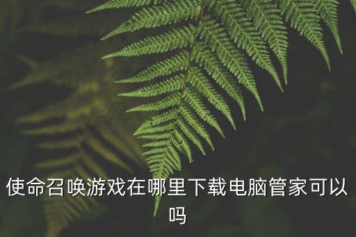 使命召唤游戏在哪里下载电脑管家可以吗