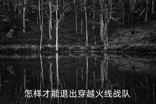怎样才能退出穿越火线战队