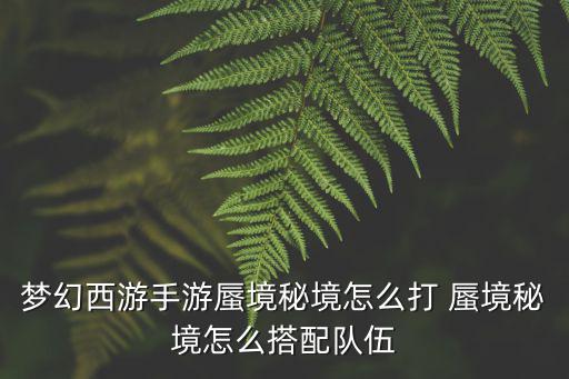 梦幻西游手游蜃境秘境怎么打 蜃境秘境怎么搭配队伍