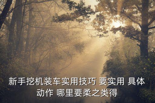 手游挖掘机怎么出装，挖掘机装车