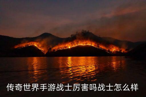 传奇世界手游战士厉害吗战士怎么样