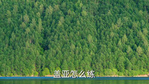 盖亚怎么练