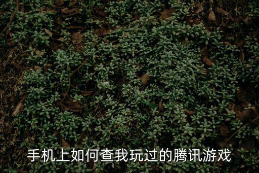 手机上如何查我玩过的腾讯游戏
