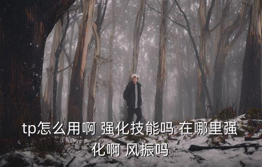 tp怎么用啊 强化技能吗 在哪里强化啊 风振吗
