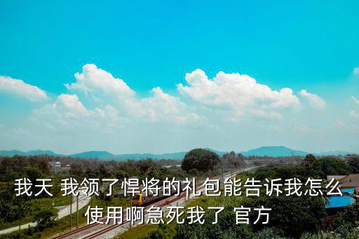 我天 我领了悍将的礼包能告诉我怎么使用啊急死我了 官方