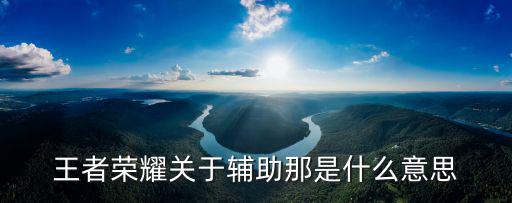 王者荣耀关于辅助那是什么意思