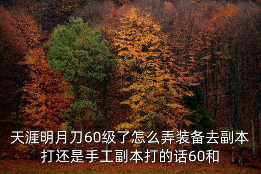 天刀手游61级主线怎么锁，天涯明月刀60级了怎么弄装备去副本打还是手工副本打的话60和