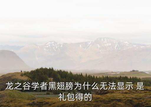 龙之谷学者黑翅膀为什么无法显示 是礼包得的