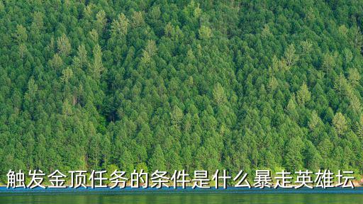 触发金顶任务的条件是什么暴走英雄坛