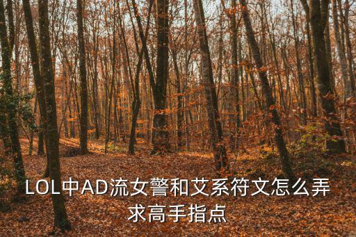 LOL中AD流女警和艾系符文怎么弄求高手指点