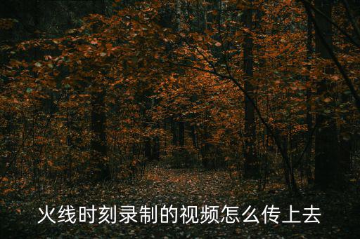 火线时刻录制的视频怎么传上去