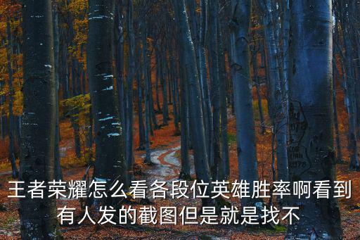 手游怎么看队友英雄胜率，怎么看胜率