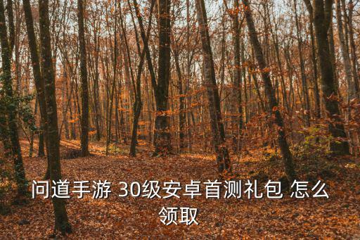 问道手游怎么领取试道礼包，问道手游礼包怎么领 礼包领取地址分