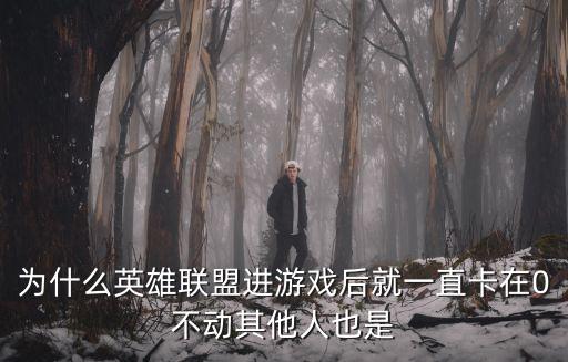 为什么英雄联盟进游戏后就一直卡在0不动其他人也是