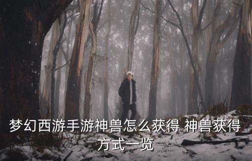 梦幻西游手游神兽怎么获得 神兽获得方式一览