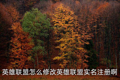 英雄联盟怎么修改英雄联盟实名注册啊