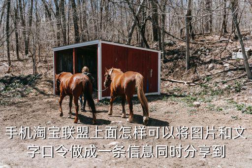 联盟手游消息怎么复制到微信，英雄联盟怎么复制说话