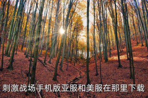 刺激战场手机版亚服和美服在那里下载