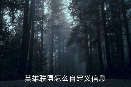英雄联盟怎么自定义信息