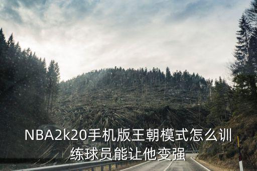 NBA2k20手机版王朝模式怎么训练球员能让他变强
