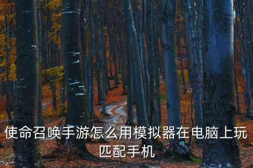 使命召唤手游怎么用模拟器在电脑上玩匹配手机