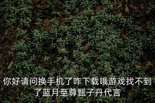 你好请问换手机了咋下载哦游戏找不到了蓝月至尊甄子丹代言