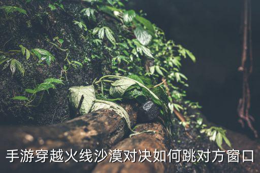 手游穿越火线沙漠对决如何跳对方窗口