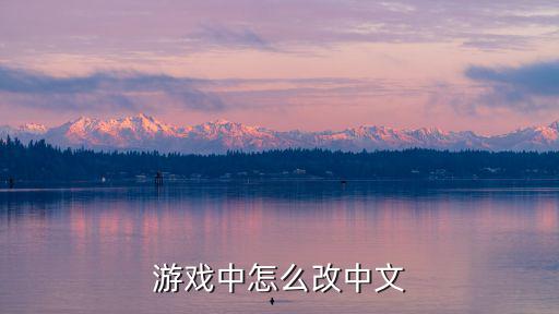 游戏中怎么改中文