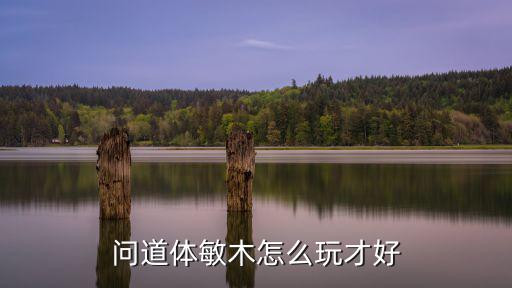 问道体敏木怎么玩才好