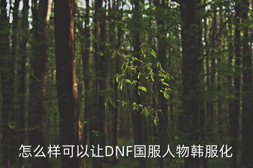 地下城与勇士手游怎么韩服化，dnf怎么才能玩韩服
