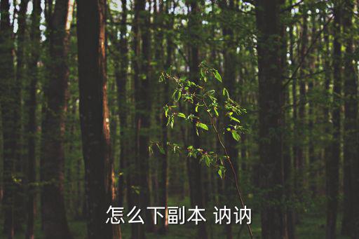 怎么下副本 讷讷