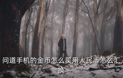 问道手机的金币怎么买用人民币怎么汇换