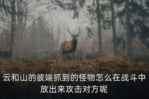 云和山的彼端抓到的怪物怎么在战斗中放出来攻击对方呢
