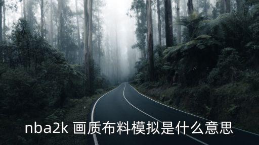 2k手游怎么用2k导航，NBA 2K系列游戏