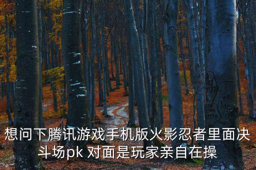 想问下腾讯游戏手机版火影忍者里面决斗场pk 对面是玩家亲自在操