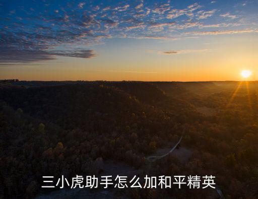 三小虎助手怎么加和平精英