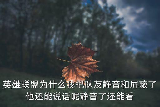 英雄联盟为什么我把队友静音和屏蔽了他还能说话呢静音了还能看