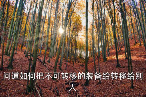 问道如何把不可转移的装备给转移给别人