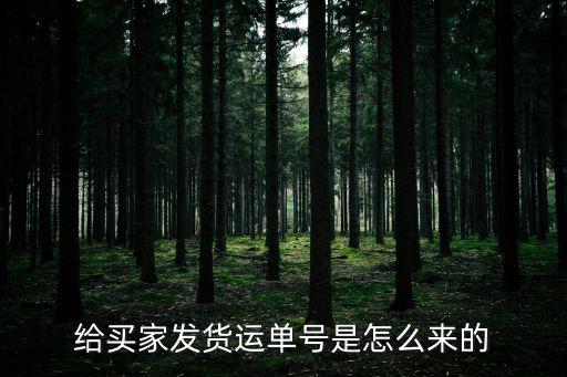 给买家发货运单号是怎么来的