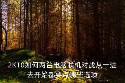 2k手游怎么设置电脑对打，2K10如何两台电脑联机对战从一进去开始都要点哪些选项