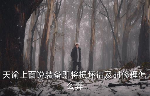 手游天谕修罗心魔怎么修复，天谕手动更新完就一直这样 用修复工具又没出错 怎么会这样