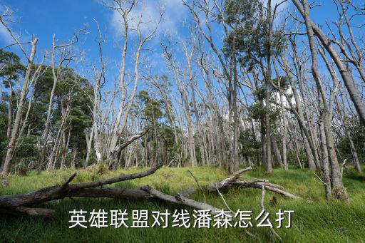 联盟手游怎么克制潘森，英雄联盟潘森怎么克