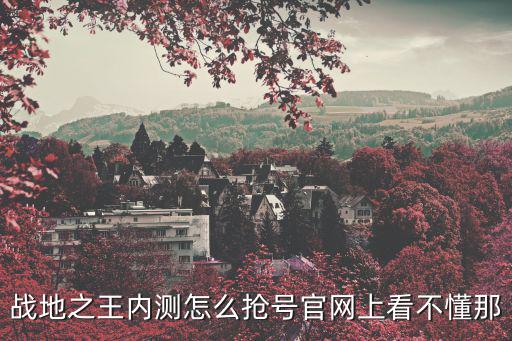 战地之王内测怎么抢号官网上看不懂那