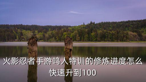 火影忍者手游鸣人特训的修炼进度怎么快速升到100
