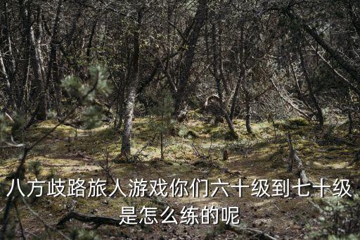 凹凸手游六十级以上的考核怎么考，这游戏60级能通关不