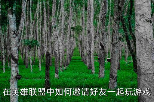 在英雄联盟中如何邀请好友一起玩游戏